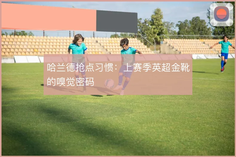 哈兰德抢点习惯：上赛季英超金靴的嗅觉密码